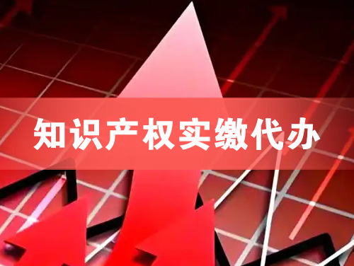 普兰店知识产权实缴资本代办